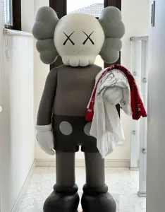 Kaws x Uniqlo Companion Fan Art Toy