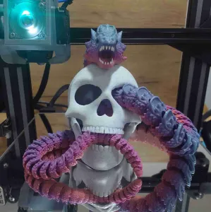 Articulated skull with moving jaw
