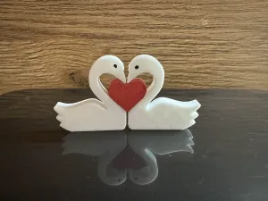 Two swans with heart