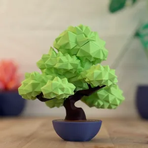 Bonsai