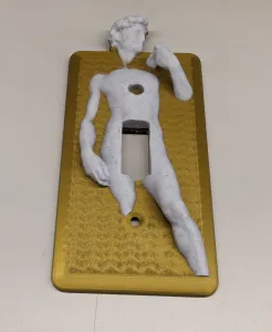 Renaissance Light Switch Cover David