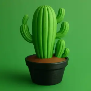 Cactus in pot