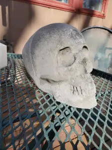 skull mold