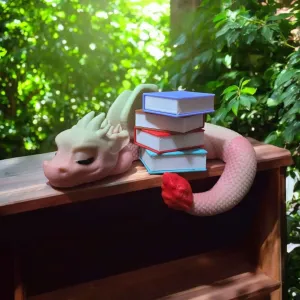 Shelf Sleeping Book Dragon