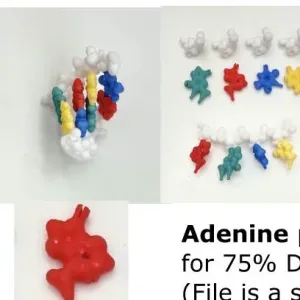 DNA - Deoxyribonucleic acid
