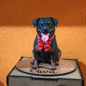 Rottweiler el taller