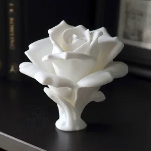 Blooming Rose (without a stem)
