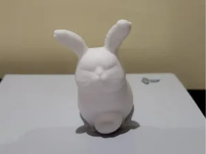 CRL_Cat_Rabit