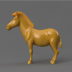 Zebra/horse/pony
