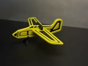 Light aircraft