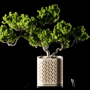 Plant Pot Seraphis