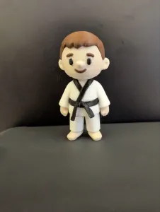 The Karate kid