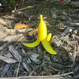 Banana Peel