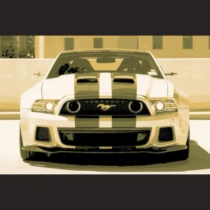Mustang 1 - Canvas Multicolor