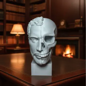 Anatomische Skulptur (Split-Face)