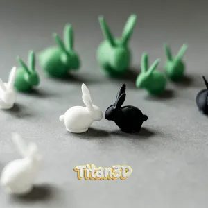 Cute Mini Bunny
