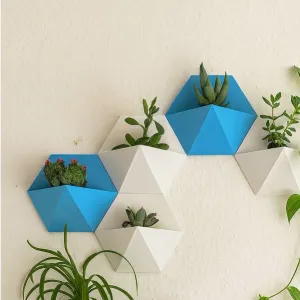 Organizer/ hanging flowerpot HEX -MOKA Design