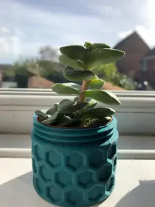 Pot plant holder/ planter