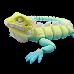 Flexible Iguana