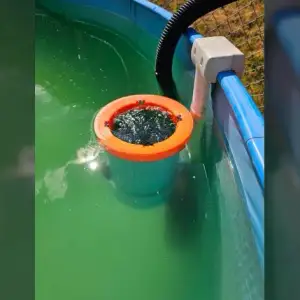 Einhange Skimmer Ring (Schwimmring)