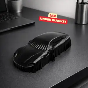 CAR UNDER BLANKET / DESIGNER CAR DECOR