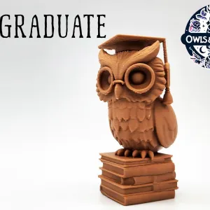 The Graduate - Owls & Dragons