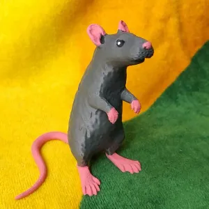 Rat