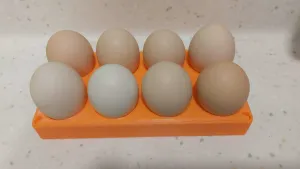Egg tray / 蛋架