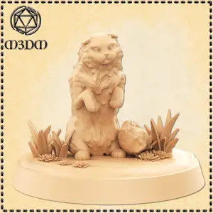 Scottish Fold Cat