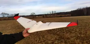 DUCK delta wing