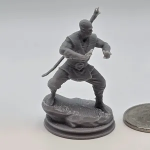 RPG Martial Monk Miniature