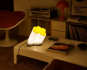 led light kit lamp