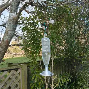 bird feeder (sager water/Nectar)