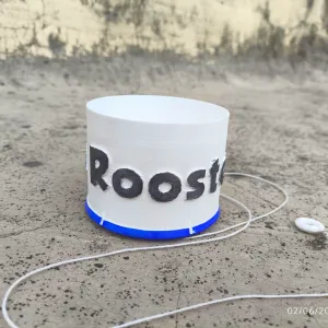 "I am a Rooster-Sound Toy"