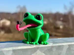 Frog with insect