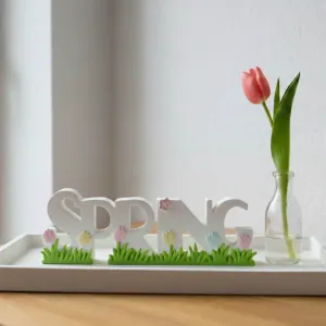 Spring Schriftzug