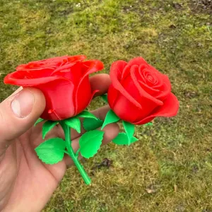 Beautiful realistic Valentine roses