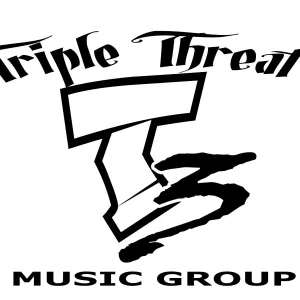 t3 logo