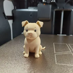 Cute Pitbull Puppy