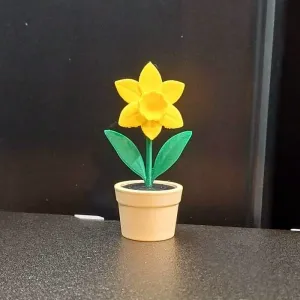 Daffodil Flower Pot