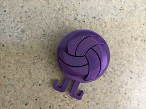 Volleyball Hook
