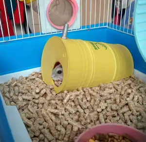 HAMSTER - FISH - TERRARIUM shell typeHOUSE