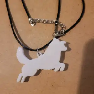 Dog Breeds Collection #12 - Border Collie