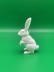 Hase