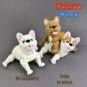 Happy Flexi Frenchies
