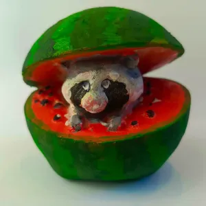 Raccooni Watermelunni