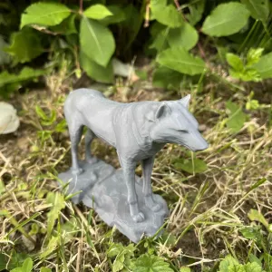 Wolf on the stone