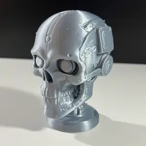 Cyber Skull