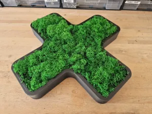 Decurative and great moss project in the shape of an X or +