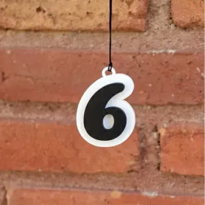 Number 6 Keychain